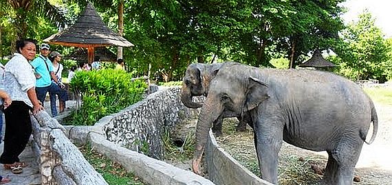 zoo songkhla adalah zoo terbesar di Selatan Thailand